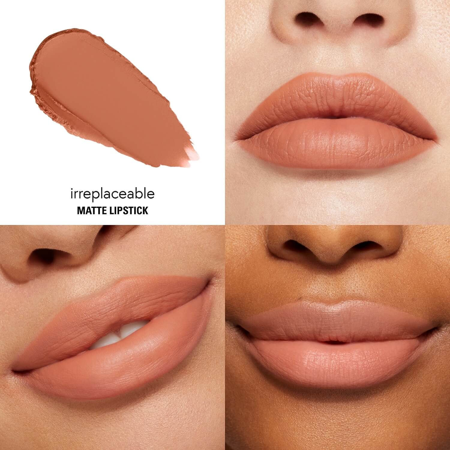 MATTE LIPSTICK (LABIAL MATTE EN BARRA)